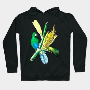 little green parakeet Hoodie